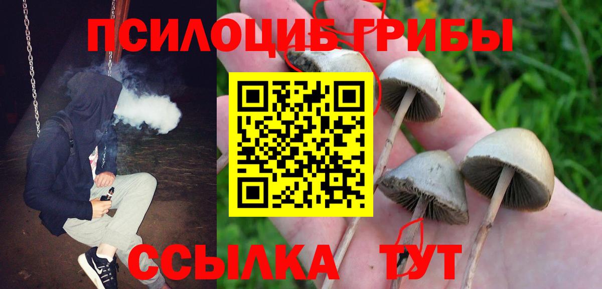 Кстово  Галлюциногенные грибы Psilocybine cubensis  Галлюциногенные грибы MAGIC MUSHROOMS  Вход с VPN 