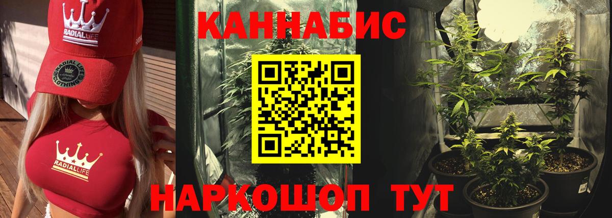 Канабис ГИДРОПОН Кстово